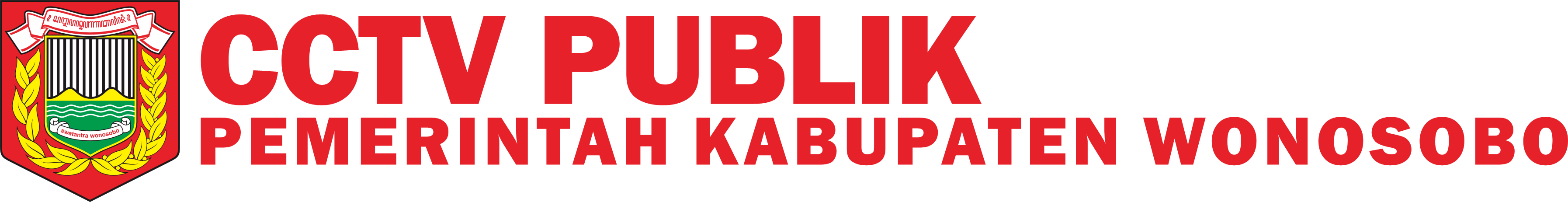 CCTV Publik