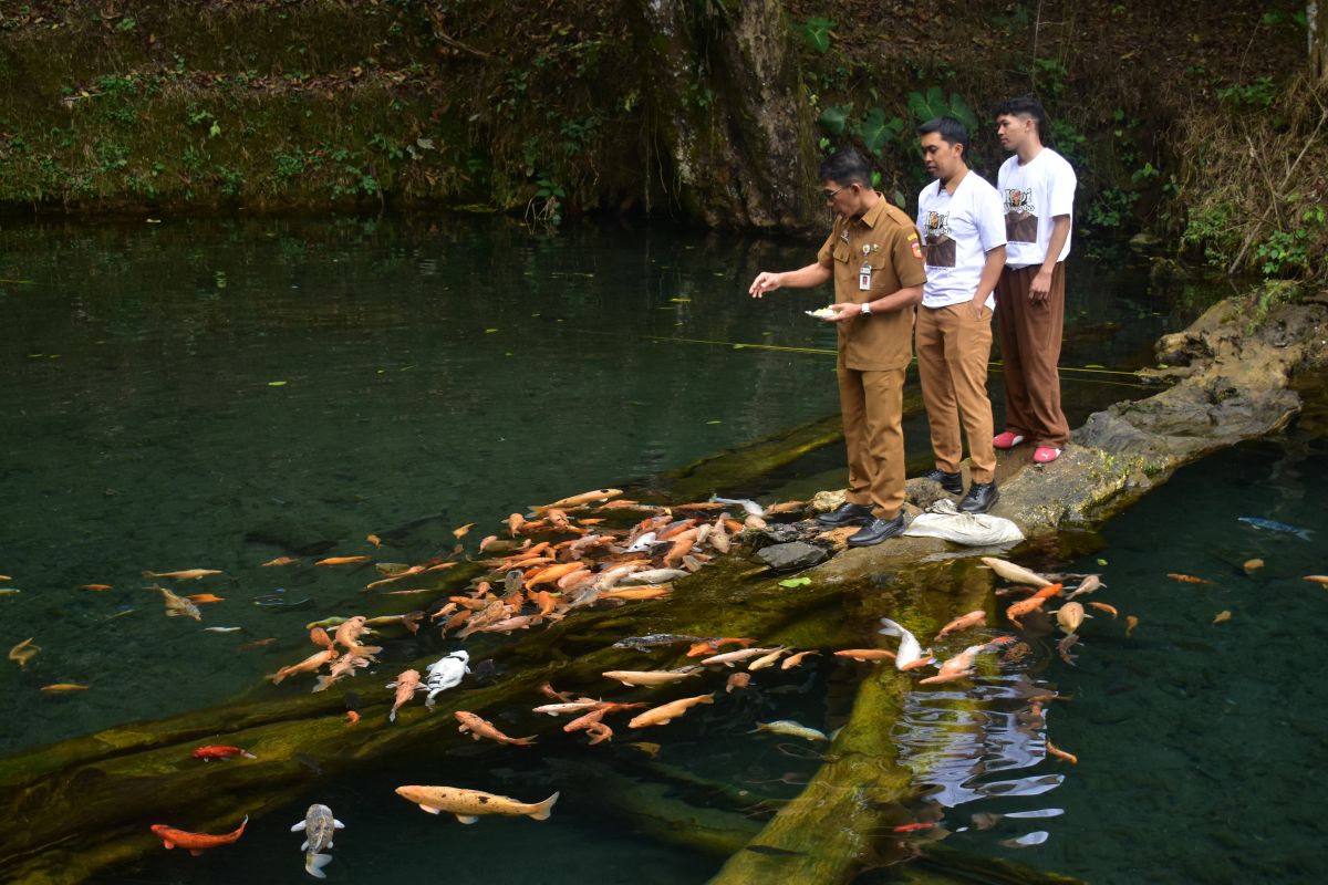 Pemkab Wonosobo Dorong Pengembangan Desa Wisata Slukatan Berbasis Kopi, Alam, dan Budaya